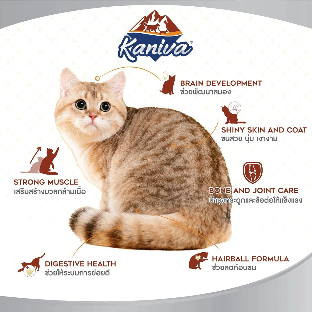 Kaniva Growth & Balance Formula Chicken, Egg & Rice Cat dry Food for Adult & Kitten, Over 2 Months 2.8kg