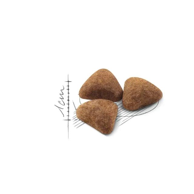 Royal Canin Indoor Long Hair Cat Food For Adult 2Kg