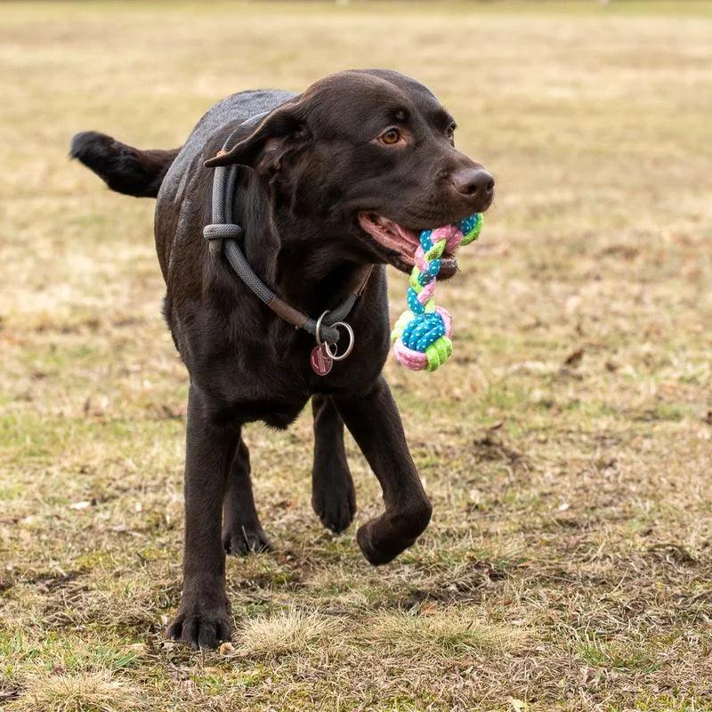 Puppy Toys Puppy Rope Toys Rope Dog Toys Puppy Toys From 8 Weeks Puppy Chew Toys Dog Toy Rope Dog Rope Toy Puppy Teething Toy Dog Toys Rope 1pcs