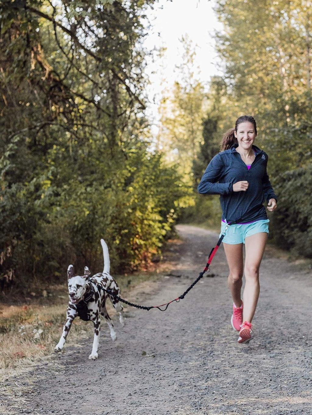 Hands Free Dog Leash, Adjustable Waist Belt and Dual-Handle Retractable Bungee Leash, Jogging Dog Leash with Reflective Stitching, Random Colors - Pet Supermarket