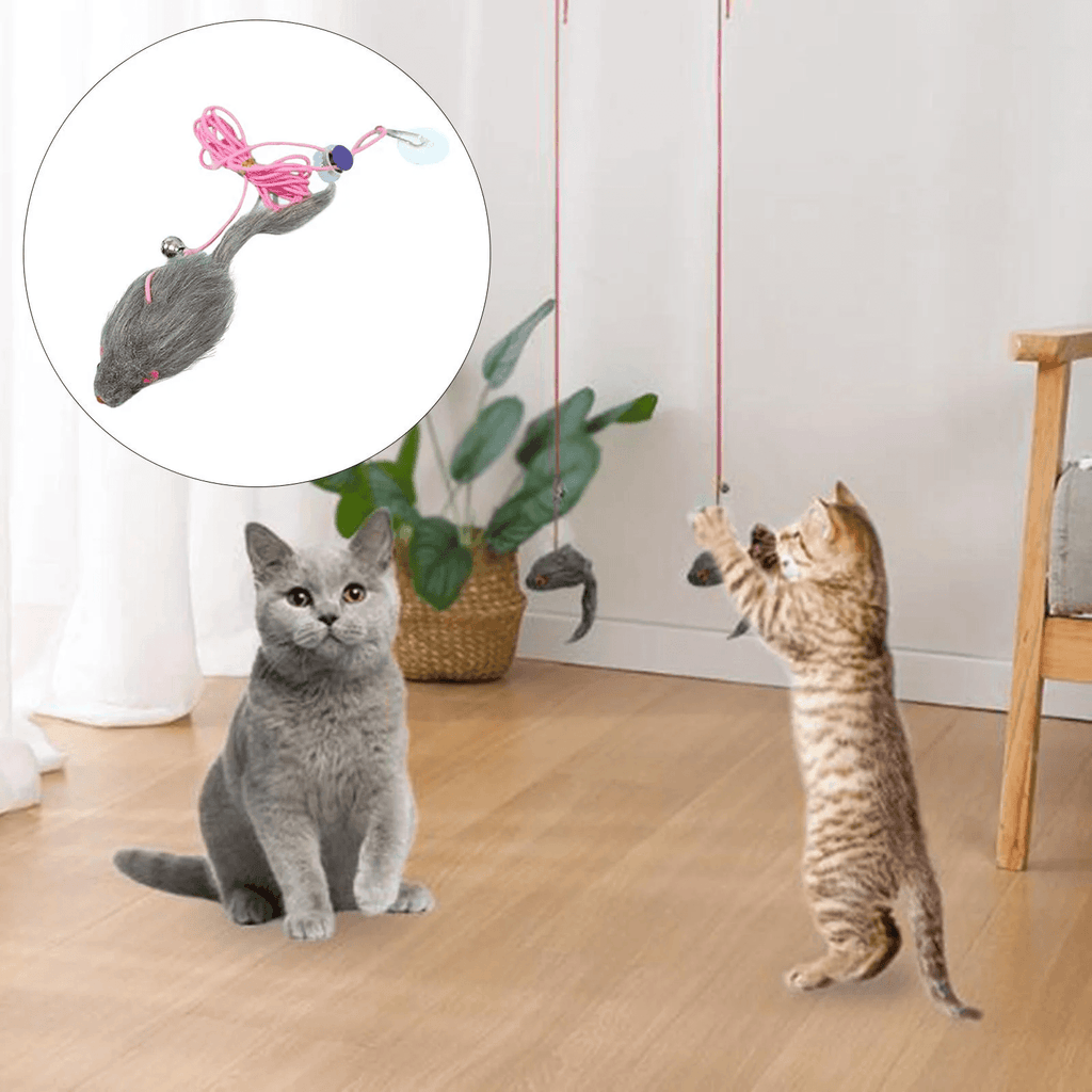 Mice Cat Catching Mouse Toy Hanging Retractable Funny Cat Supplies
