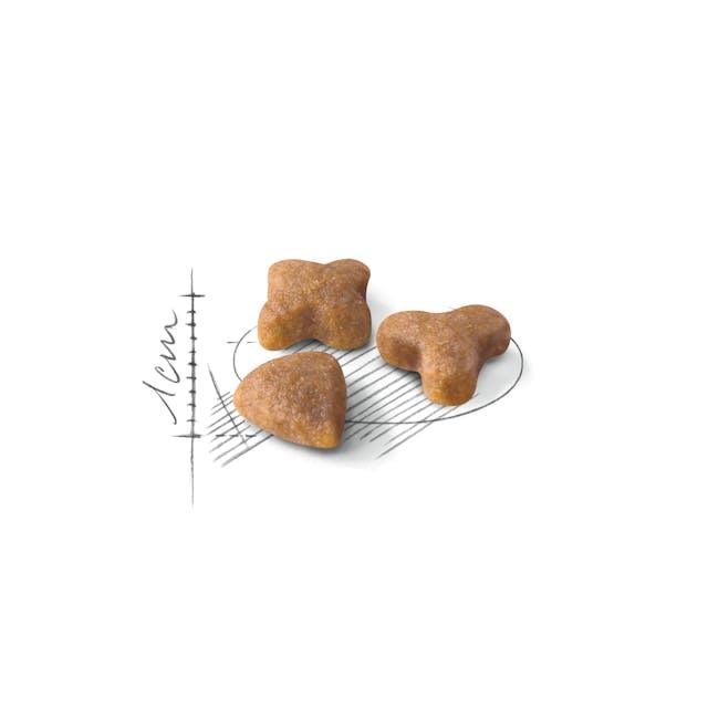 Royal Canin Regular Sensible 33 Dry Cat Food 2 kg