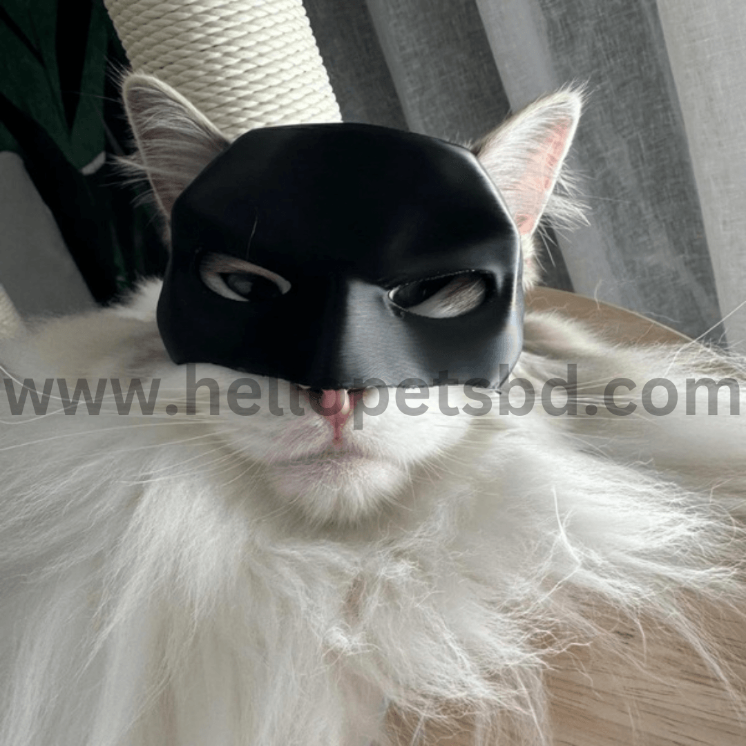Bat Cat Avenger Mask Bat Cat Avenger Halloween Mask Cat Mask