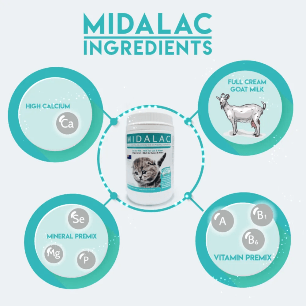 Midalac Goat's Milk Replacer- Milk For Cat & Kitten (200g)