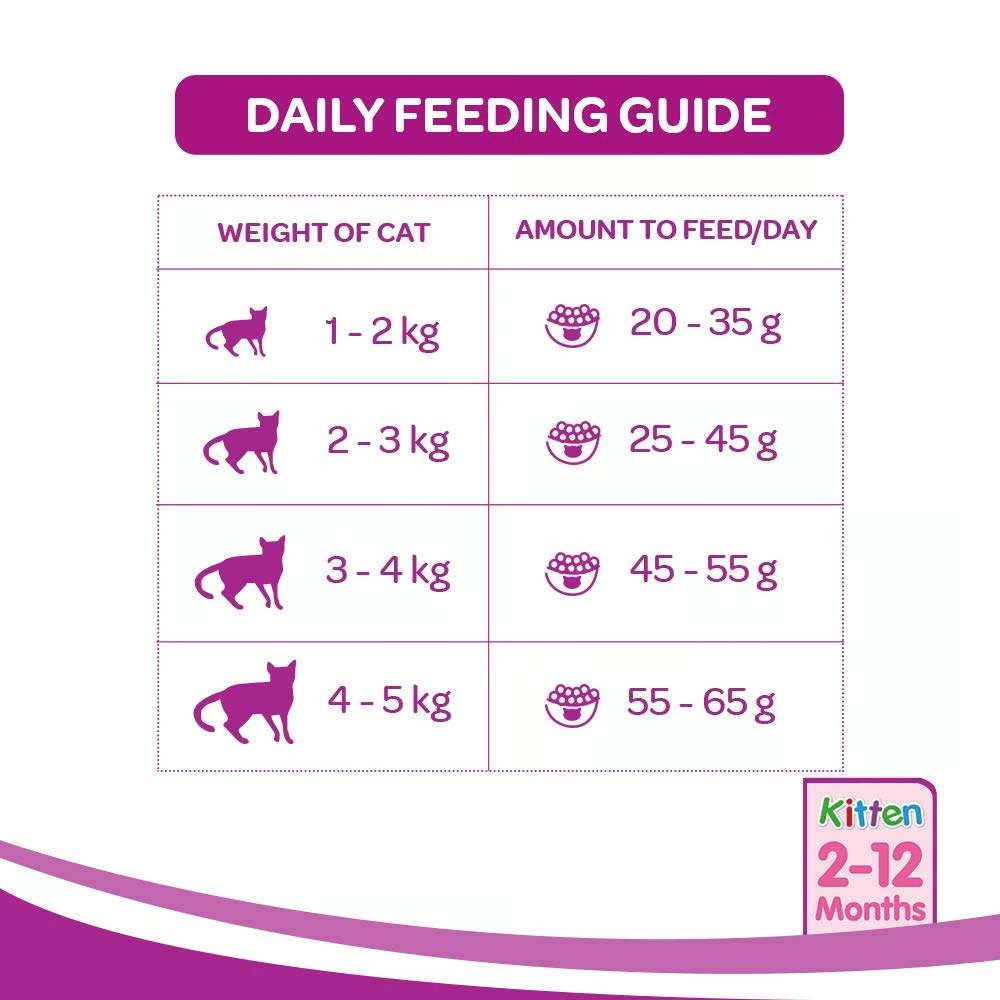 Whiskas® Kitten Dry Food, Ocean Fish with Milk 450g