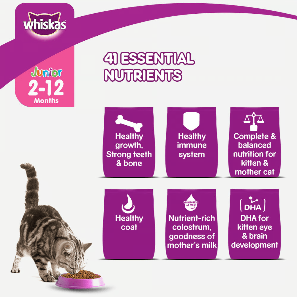 Whiskas® Kitten Dry Food, Ocean Fish with Milk 450g