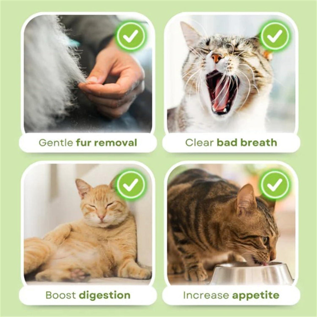 Cat Grass Teething Sticks, Cat Grass Sticks for Hairball Removal, Teeth Cleaning, Increase Appetite Chicken Flavor for Pet Cat (30g) 6pcs