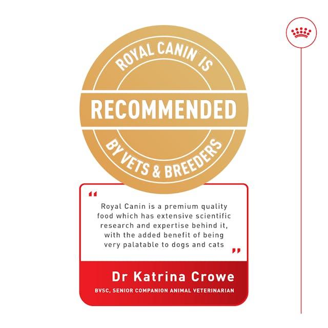 Royal Canin Indoor Long Hair Cat Food For Adult 2Kg