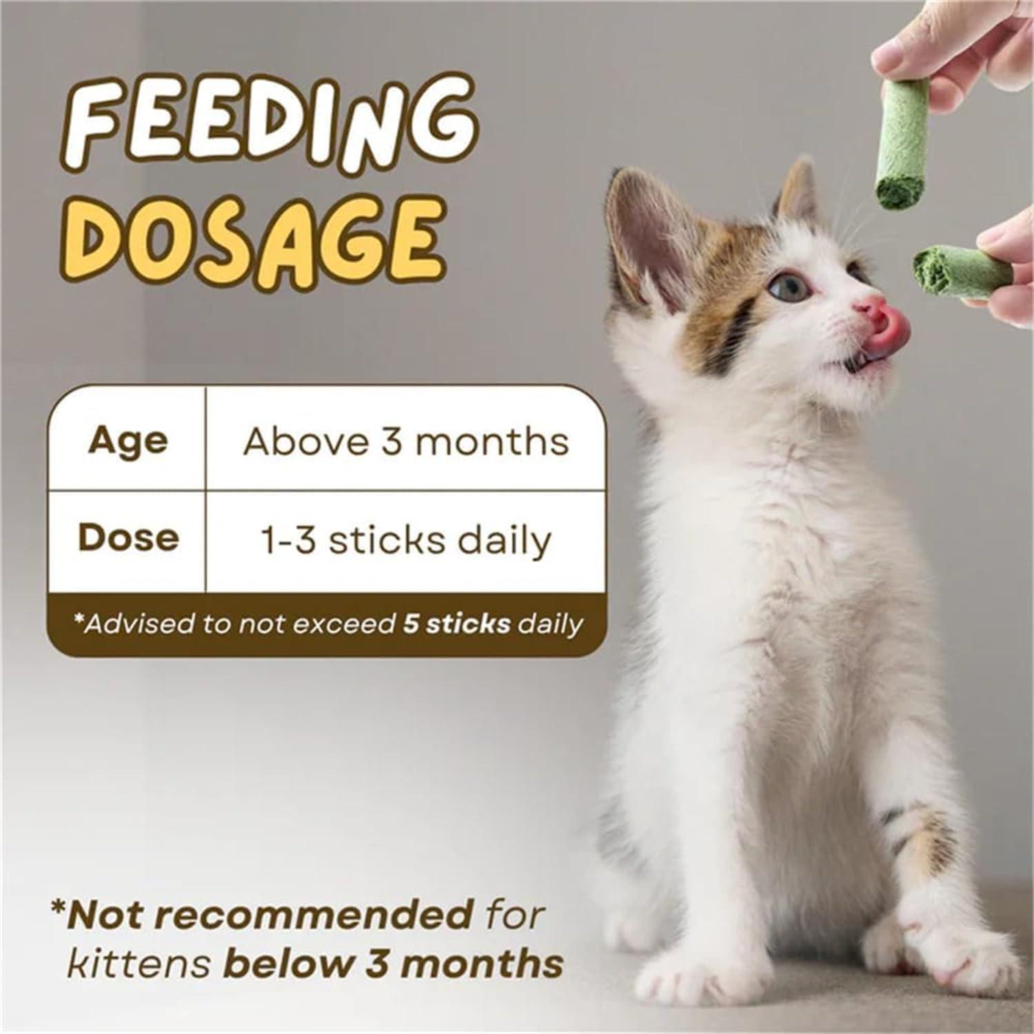 Cat Grass Teething Sticks, Cat Grass Sticks for Hairball Removal, Teeth Cleaning, Increase Appetite Chicken Flavor for Pet Cat (30g) 6pcs
