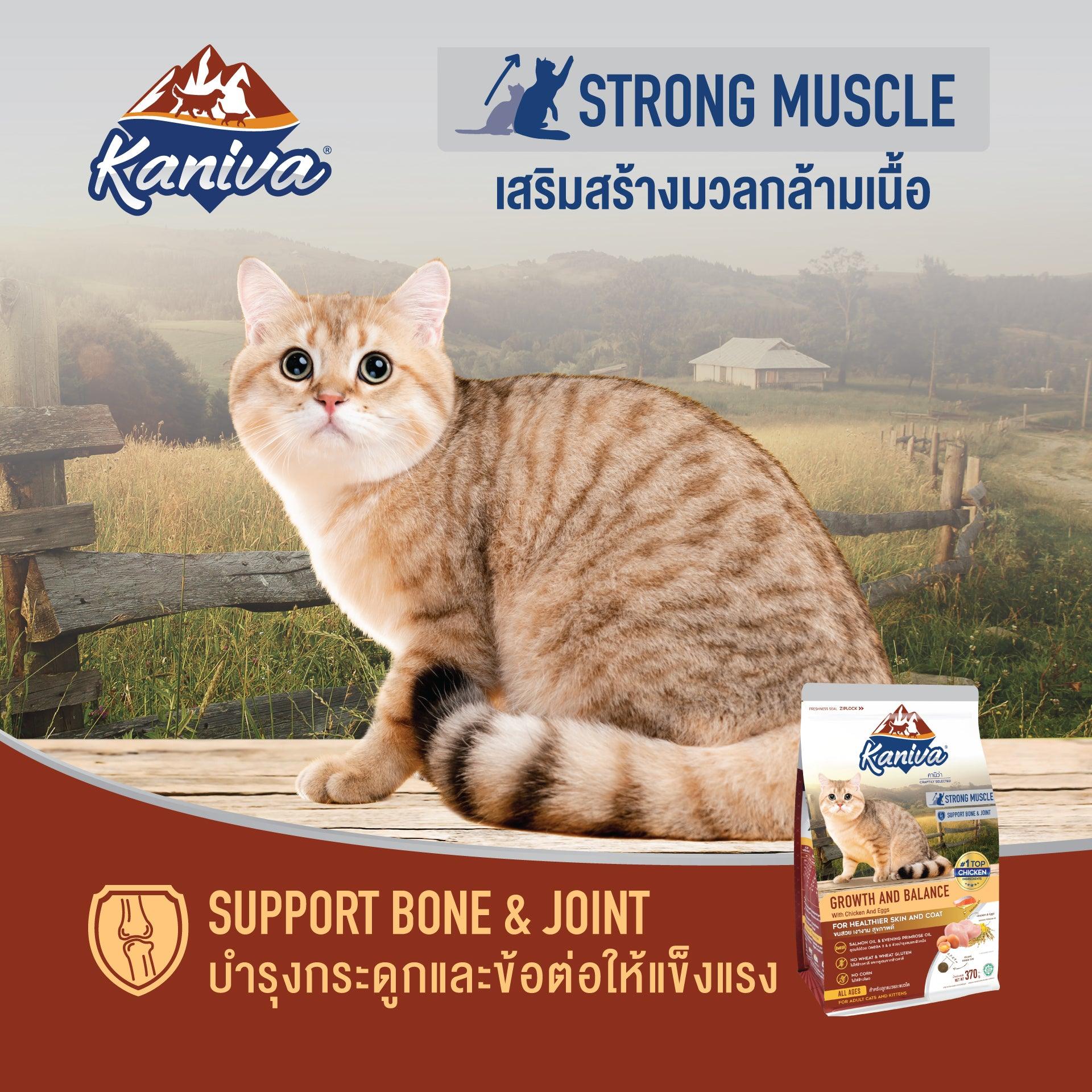 Kaniva Growth & Balance Formula Chicken, Egg & Rice Cat dry Food for Adult & Kitten, Over 2 Months 2.8kg