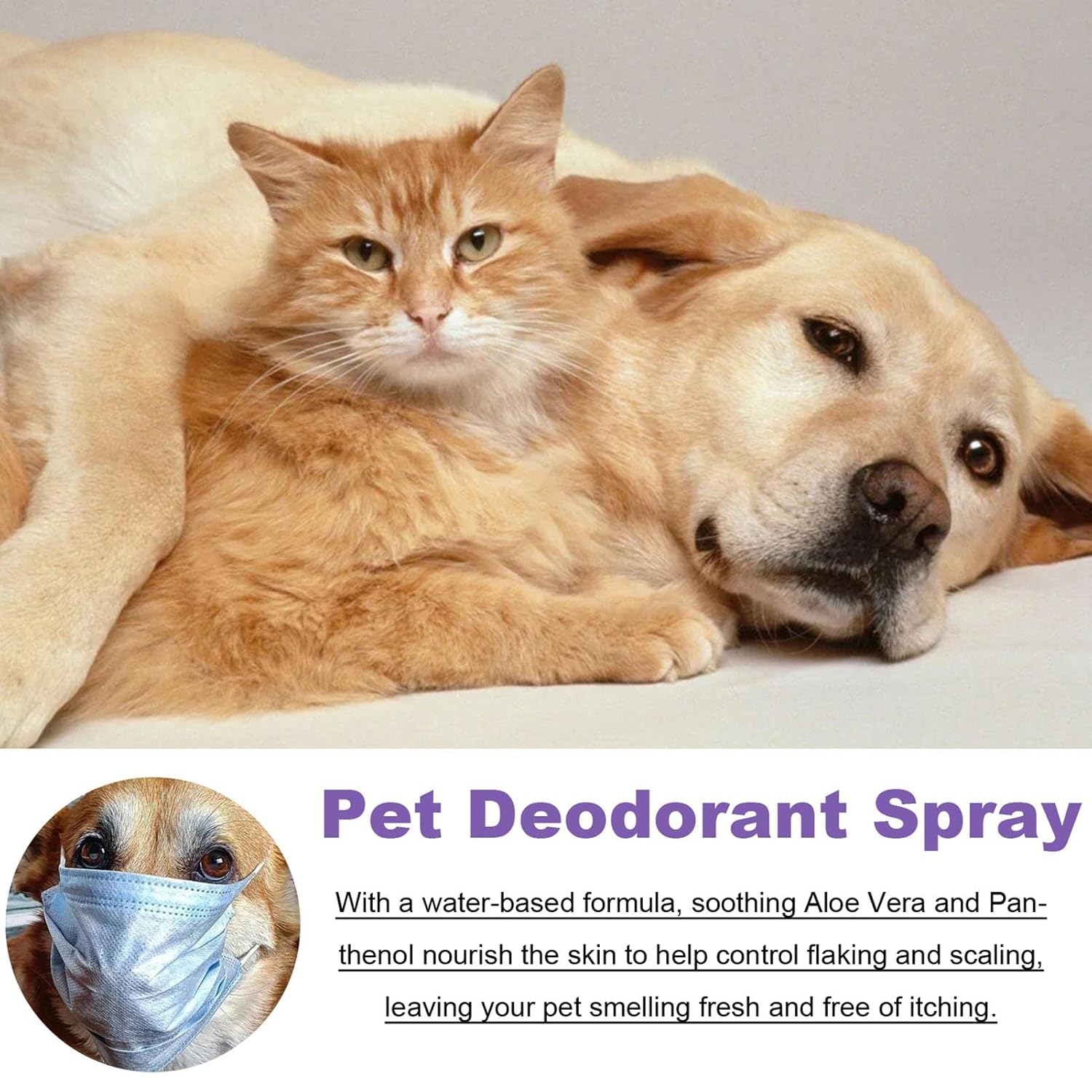 Pet Deodorant Spray, Anti-Itch Natural Conditioning Scented for Refreshes Deodorizes Daily Long Lasting Odor Spray for Cats and Dogs 50ml - Pet Supermarket