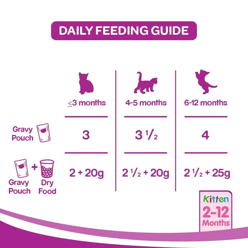 Whiskas Kitten (2-12 Months) Wet Cat Food Pouch, Chicken in Gravy Kitten Pouch 85gm