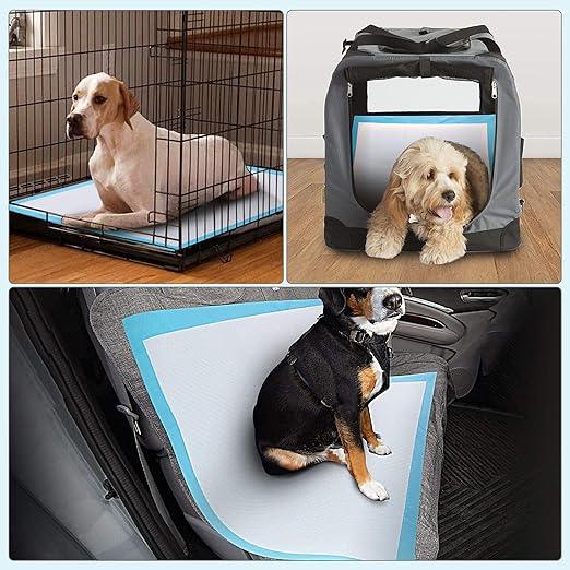 Dog Training Pads Puppy Pee Pads Leak-Proof Potty Pads for Dogs, Puppies, Cats, Rabbits, Quick Absorb Disposable Pet Training Pads for Housetraining (60 * 40cm)