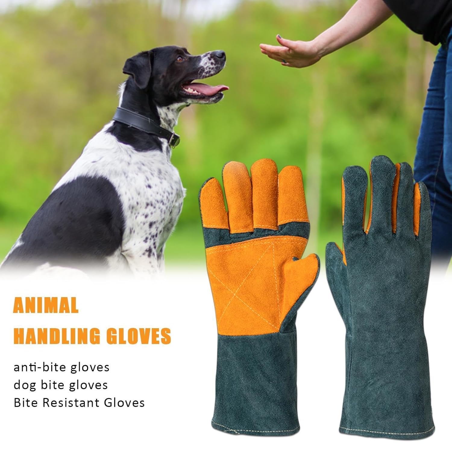 Cat Handling Gloves- Anti Bite Gloves, Animal Handling Gloves Bite Proof | Multipurpose Pet Glove Random Color - Pet Supermarket