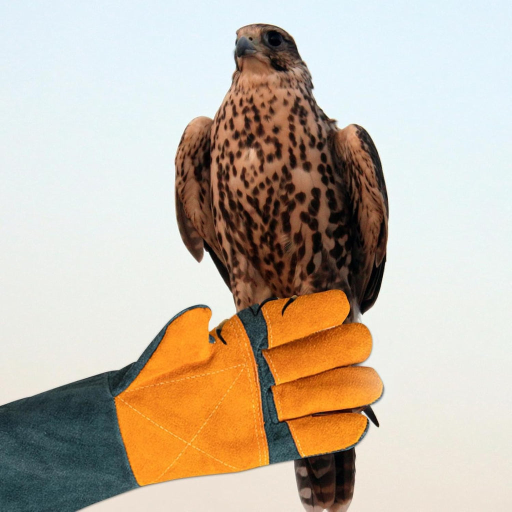 Cat Handling Gloves- Anti Bite Gloves, Animal Handling Gloves Bite Proof | Multipurpose Pet Glove Random Color - Pet Supermarket