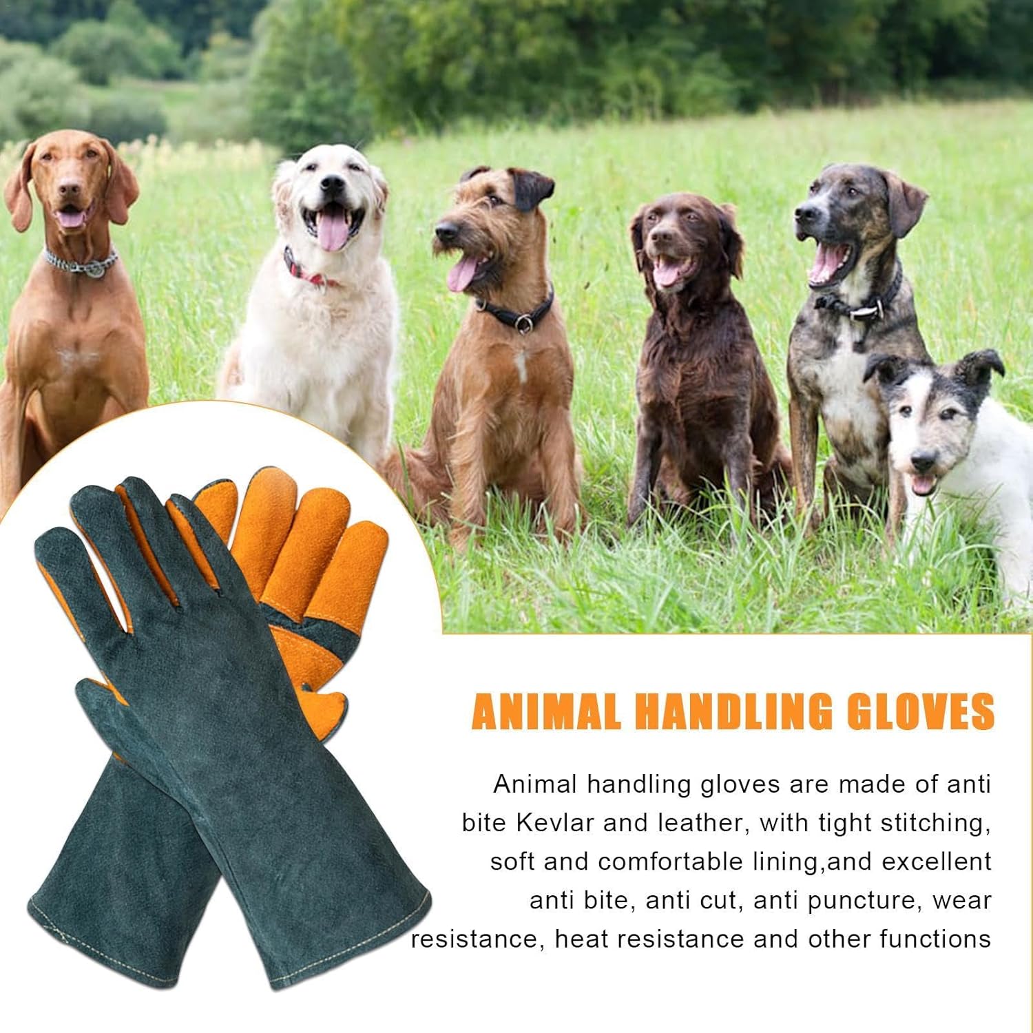 Cat Handling Gloves- Anti Bite Gloves, Animal Handling Gloves Bite Proof | Multipurpose Pet Glove Random Color - Pet Supermarket