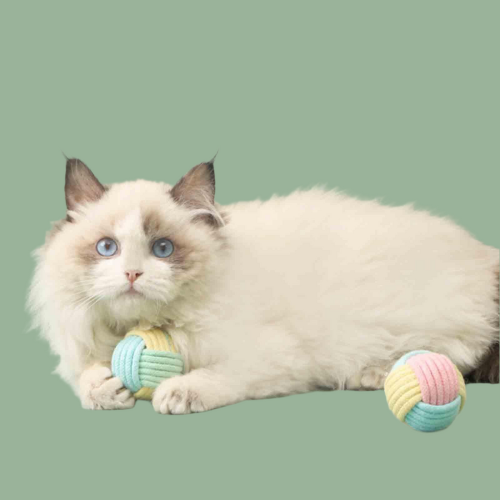 Cats Ball Toys Kitten Chasing and Playing Lightweight Exercise Ball Toys