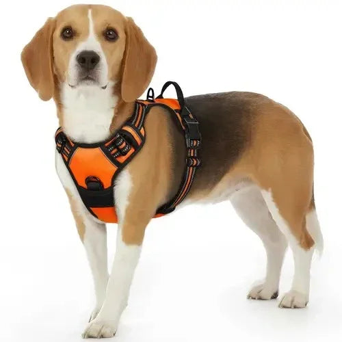 Dog Medium Harness Adjustable No-Pull Dog Harness | with Padded Vest and Dual Leash Clips | Prevents Choking and Provides Comfortable Walking Experience