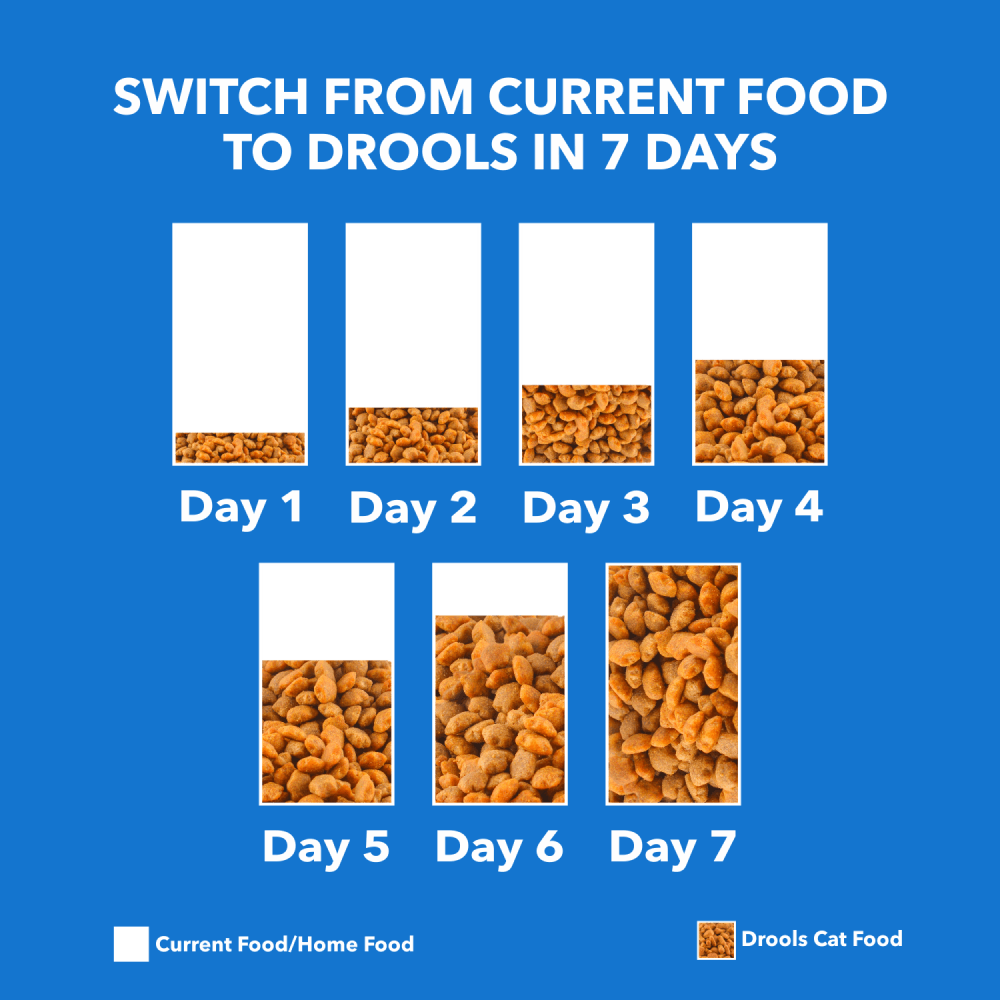 Drools Adult Real Chicken Dry Cat Food 3 kg - Pet Supermarket