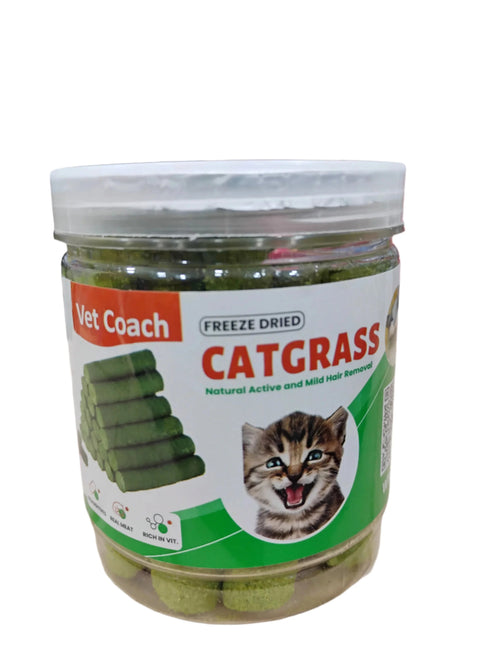 16pcs Cat Grass Teething Stick Jar set with Chicken Flavor, Cat Kittens Hairball Removal, Natural Dried Cat Grass for Cat Dental Care  (120g)