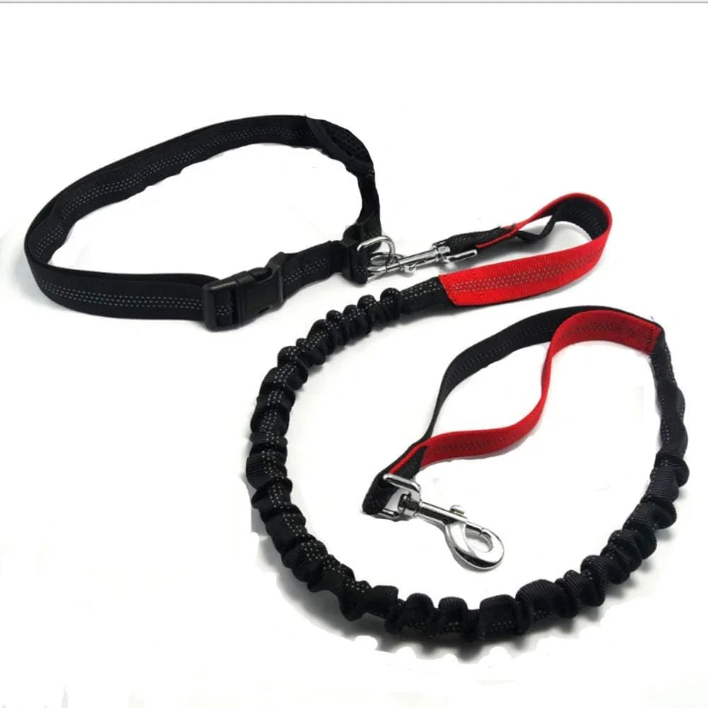 Hands Free Dog Leash, Adjustable Waist Belt and Dual-Handle Retractable Bungee Leash, Jogging Dog Leash with Reflective Stitching, Random Colors