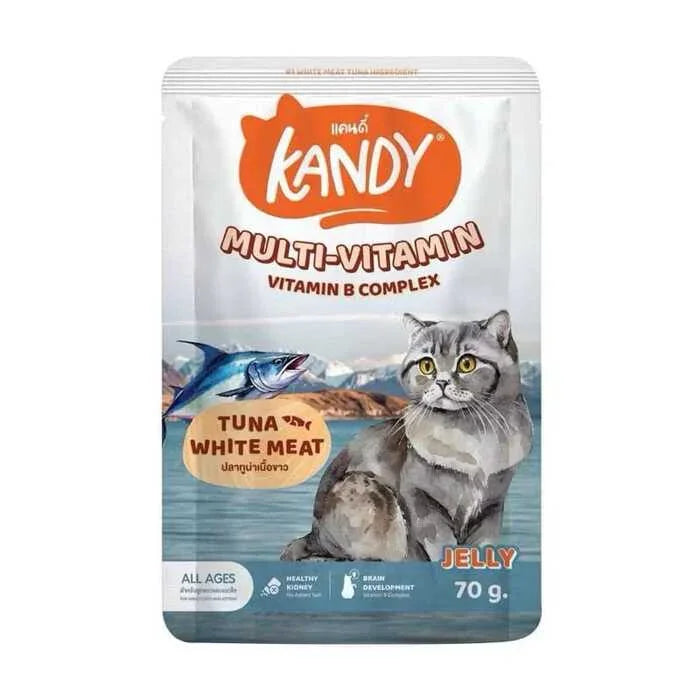 Kandy MULTIVITAMIN Pouch with Vitamin B Complex & Tuna White Meat in Jelly 70g