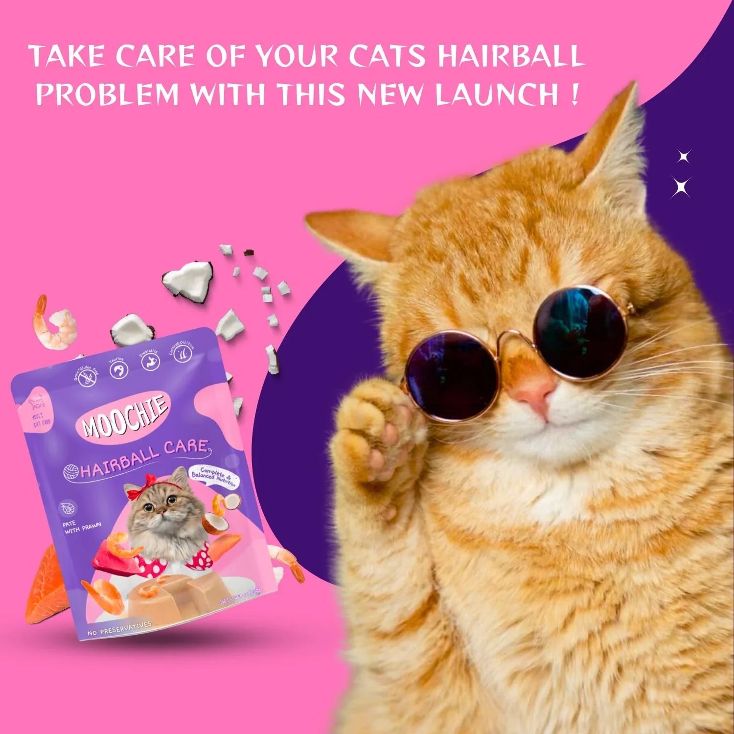 Moochie Non-Vegetarian Cat Foods Pouch for Adult Cats Hairball Care with Prawn 70g - Pet Supermarket