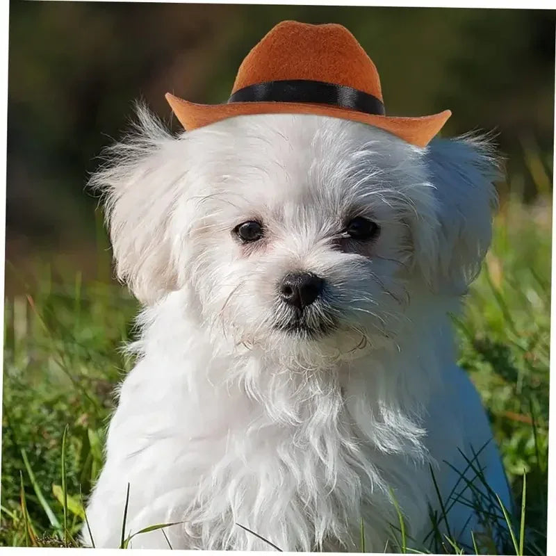 Adjustable Strap Western Style Cowboy Hat for Small & Medium Dogs Top Hat Headwear Cat and Dog Photo Props, Dog Costume Accessory - Pet Supermarket