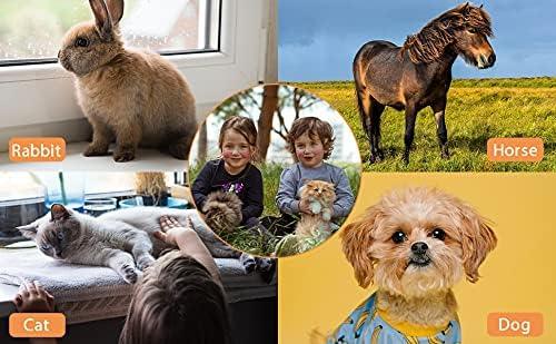 Cat and Dog Grooming Brush Comb Stainless Steel Teeth Metal Cats Dog Comb for Removing Hair (M: 194cm) - Pet Supermarket