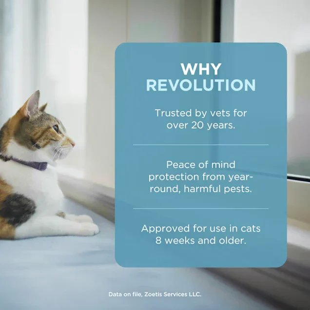Revolution Plus Topical Solution for Cats and Rabbits Weighing 2.6-7.5kg - Pet Supermarket