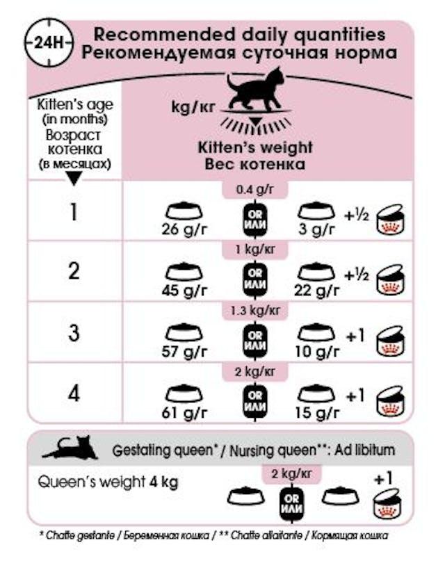 Royal Canin Mother And Baby Cat Dry Cat Food 2kg