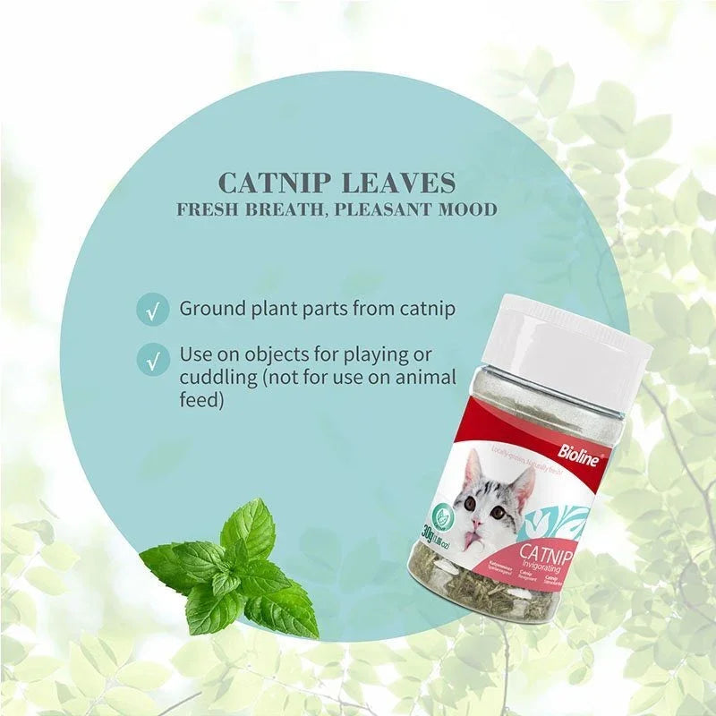 Bioline Catnip Leaf || Organic Cat Catnip Leaf Tube 5ml - Pet Supermarket