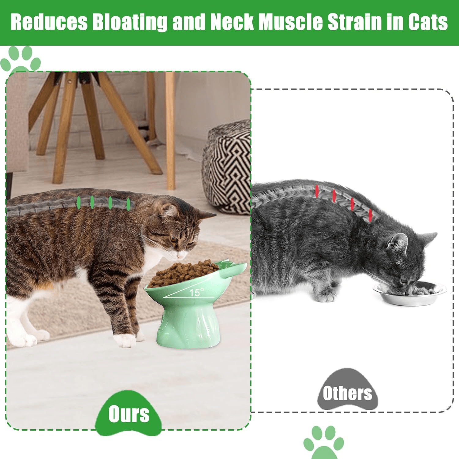 Cat Bowls, Cat Anti Vomit Food Bowl, 15 Degree Raised Anti Tip Pet Bowl for Water and Protecting Spine