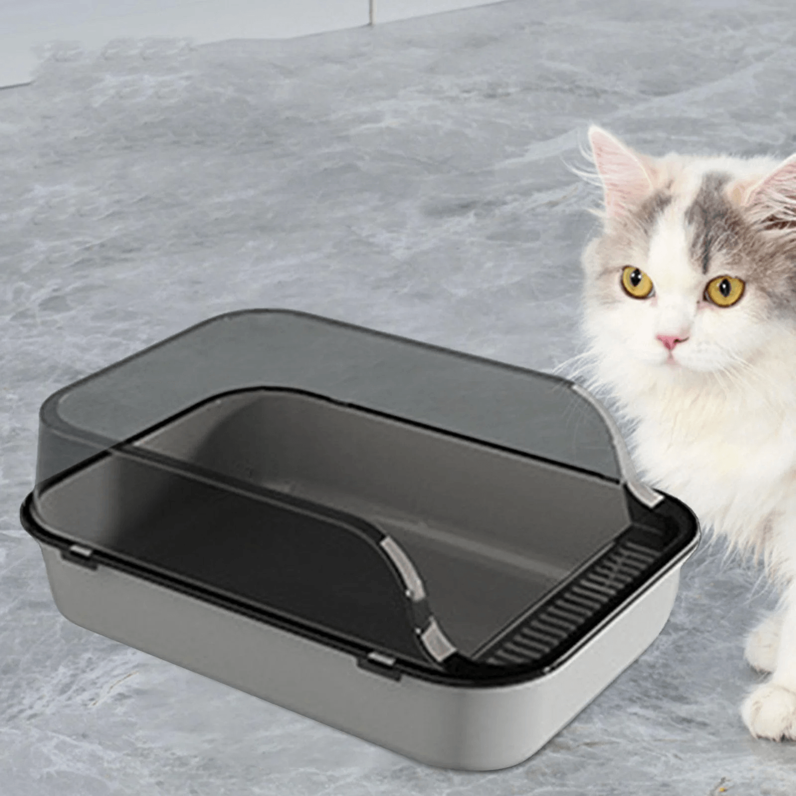 Small Cat Litter Box, Small Cat Toilet Kitten Potty Toilet for Rabbit Kitten Litter Box