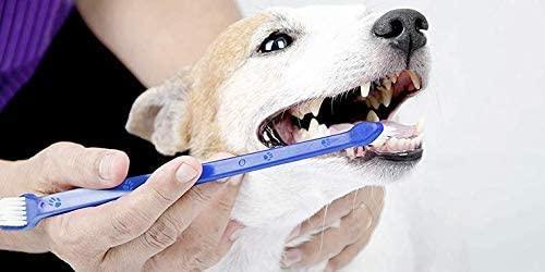 3 Pcs Soft Cleaning Dental Rubber Finger Toothbrush For Dogs (Multicolored), Manual, Adult - Pet Supermarket