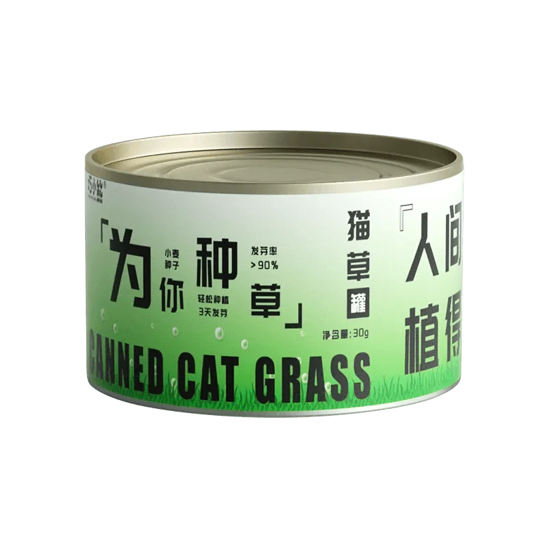 cat-canned-cat-grass-plant