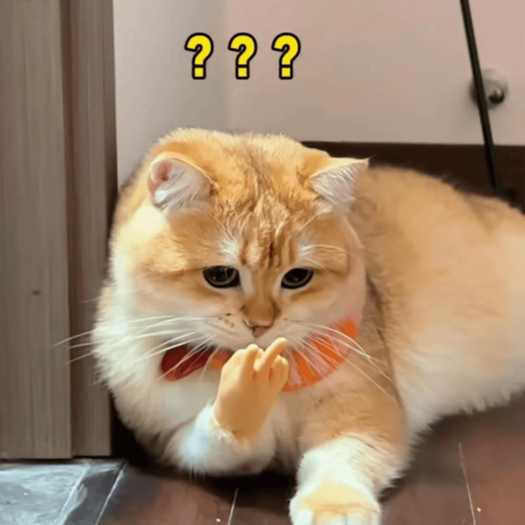 Mini Hands for Cats, Cat Mini Hands, Tiny Hands for Cats, Small Hands for Cats, Cat Fingers Mini Hands Toy, Tiny Hands Cat Massage Tool Cat Toy Finger Gloves Little Finger Silicone Gloves 1Pcs