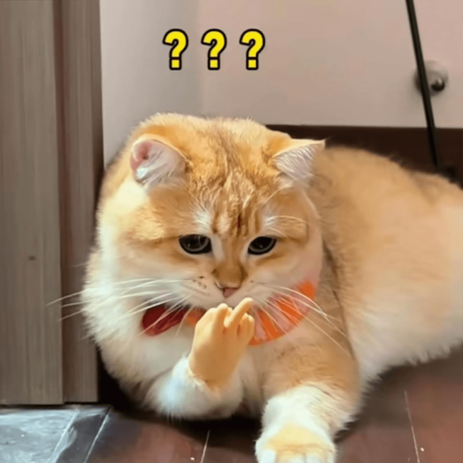 Mini Hands for Cats, Cat Mini Hands, Tiny Hands for Cats, Small Hands for Cats, Cat Fingers Mini Hands Toy, Tiny Hands Cat Massage Tool Cat Toy Finger Gloves Little Finger Silicone Gloves 1Pcs