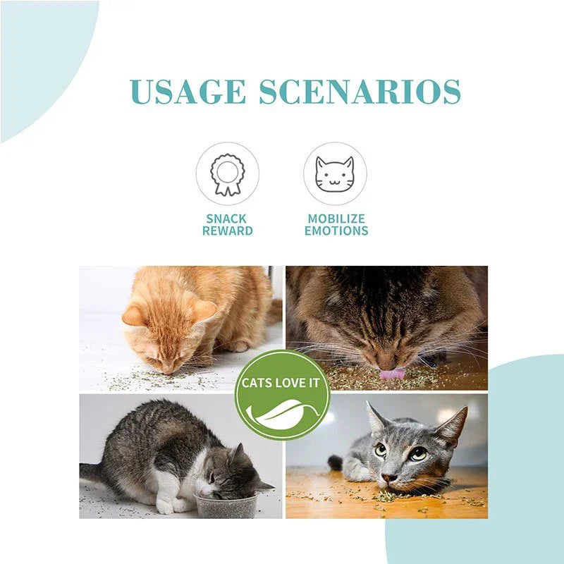 Bioline Catnip Invigorating Powder 20g - Pet Supermarket