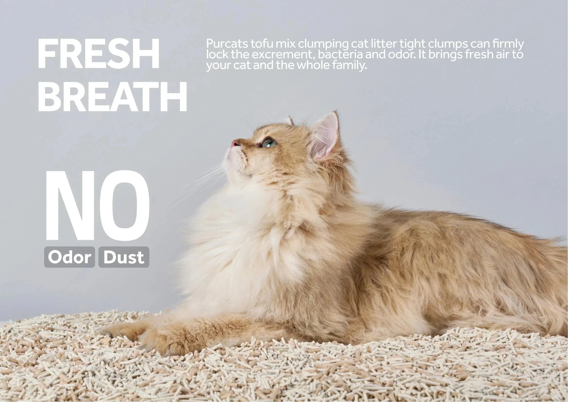 Cature Natural Mix Clumping Cat Litter Tofu+Bentonite+Wood 14L/5.6 kg - Pet Supermarket