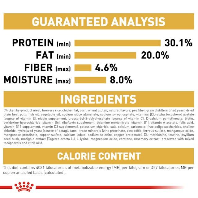 Royal Canin Persian Kitten Dry Cat Food (2KG) Up to 12 months