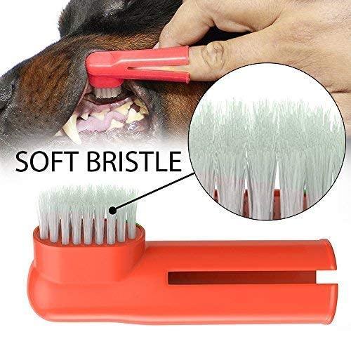 3 Pcs Soft Cleaning Dental Rubber Finger Toothbrush For Dogs (Multicolored), Manual, Adult - Pet Supermarket