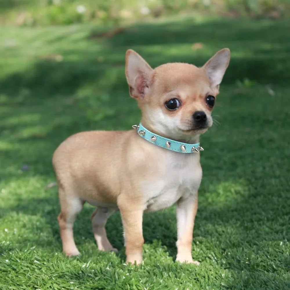 Spike Dog Collar with Spikes, Adjustable Rivet Dog Collar, Genuine Leather Spiked Studded Dog Pet Collars for Cats Puppies Small Medium Large Dogs - Pet Supermarket