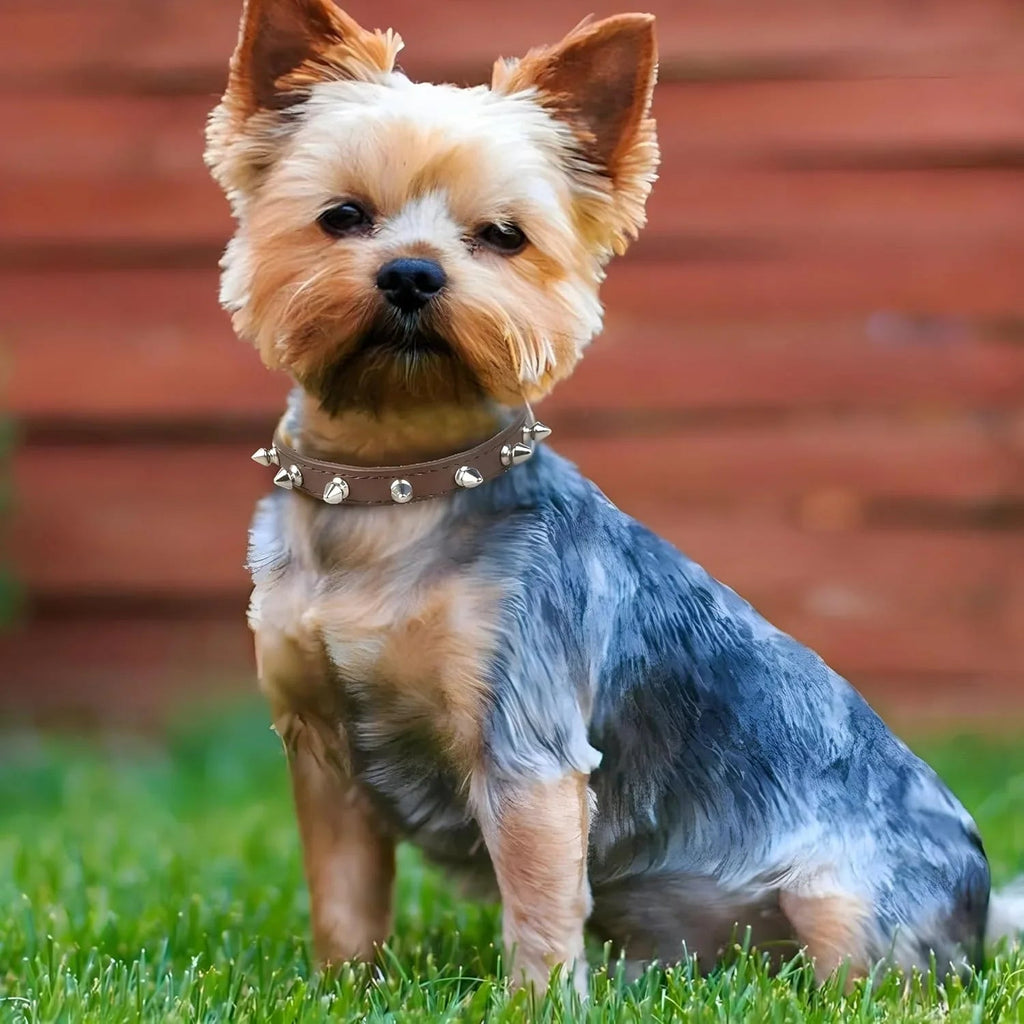 Spike Dog Collar with Spikes, Adjustable Rivet Dog Collar, Genuine Leather Spiked Studded Dog Pet Collars for Cats Puppies Small Medium Large Dogs - Pet Supermarket