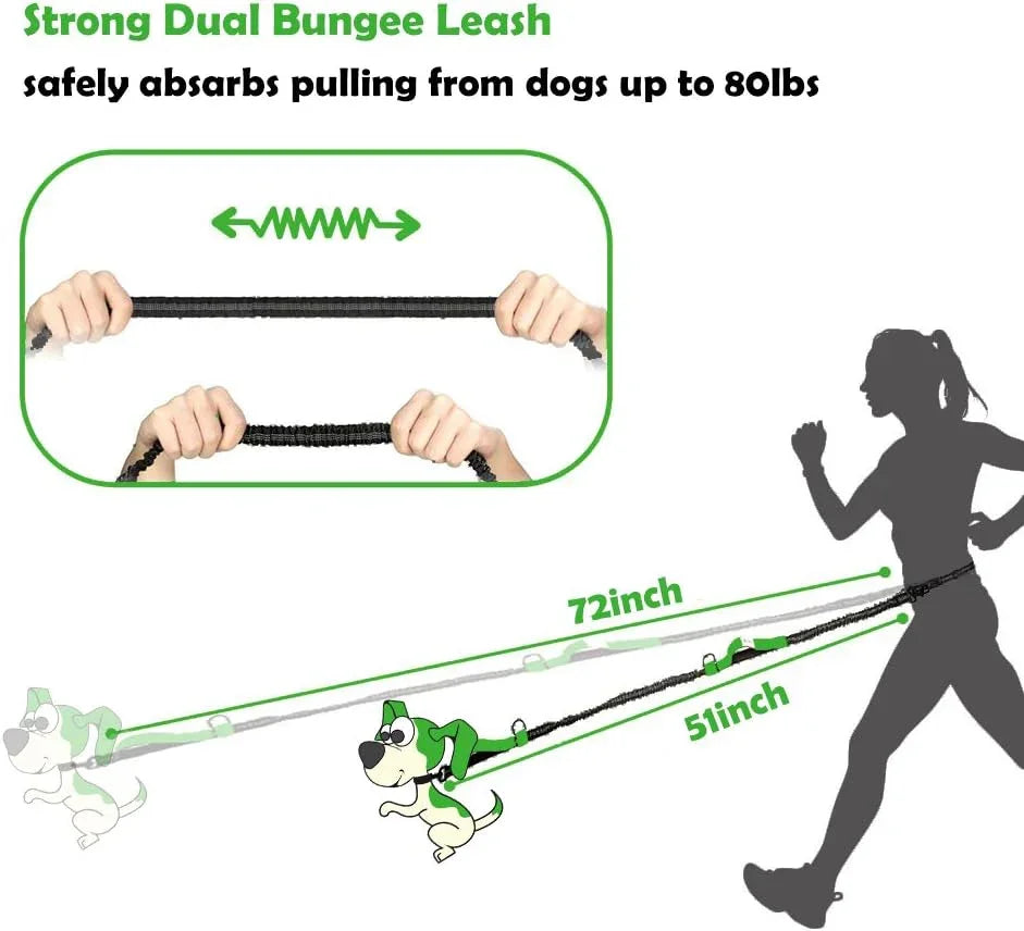 Hands Free Dog Leash, Adjustable Waist Belt and Dual-Handle Retractable Bungee Leash, Jogging Dog Leash with Reflective Stitching, Random Colors - Pet Supermarket