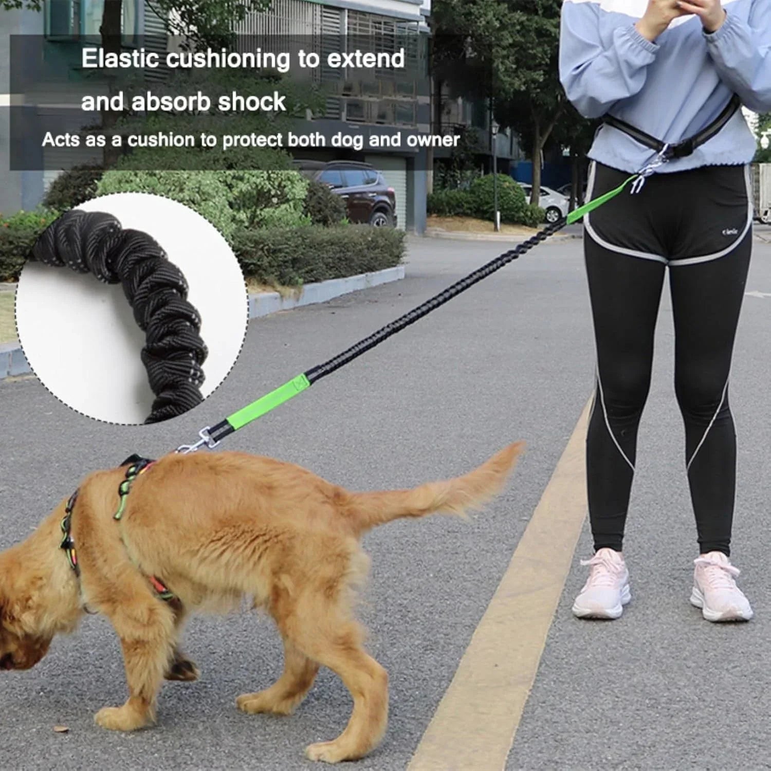 Hands Free Dog Leash, Adjustable Waist Belt and Dual-Handle Retractable Bungee Leash, Jogging Dog Leash with Reflective Stitching, Random Colors - Pet Supermarket