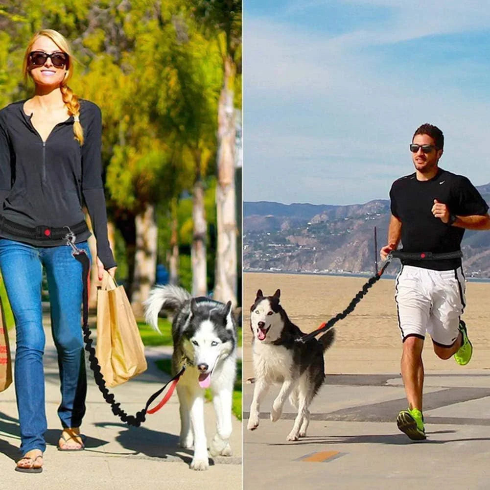 Hands Free Dog Leash, Adjustable Waist Belt and Dual-Handle Retractable Bungee Leash, Jogging Dog Leash with Reflective Stitching, Random Colors - Pet Supermarket