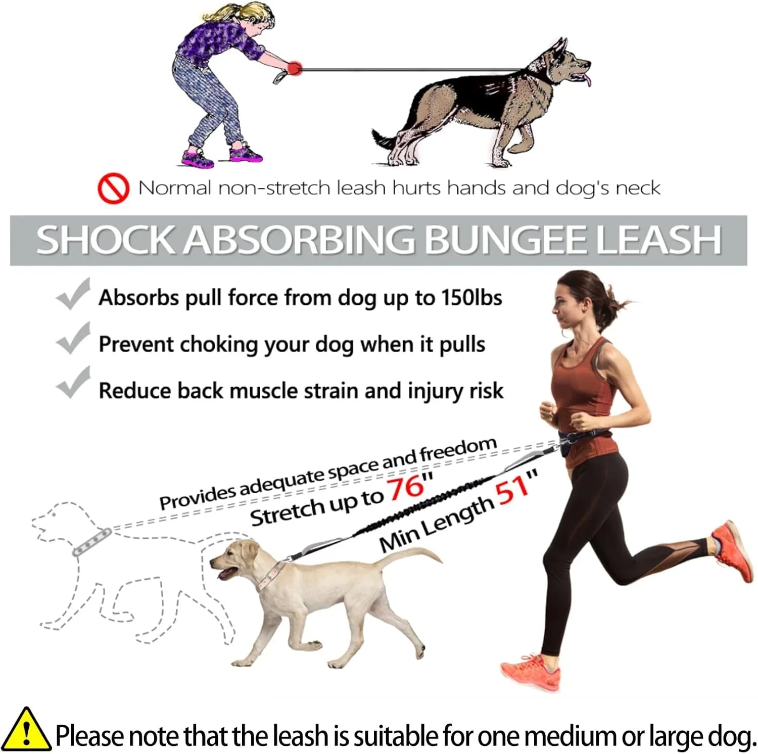 Hands Free Dog Leash, Adjustable Waist Belt and Dual-Handle Retractable Bungee Leash, Jogging Dog Leash with Reflective Stitching, Random Colors - Pet Supermarket