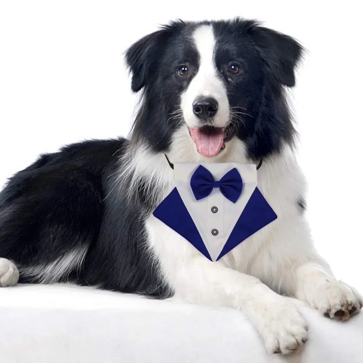 Medium Formal Dog Tuxedo Bandana Dog Wedding Bandana Dog Collar Tie with Bow Tie and Neck Tie Designs Adjustable Collar Formal Tux Dog Bowtie Adjustable Neckerchief - Pet Supermarket