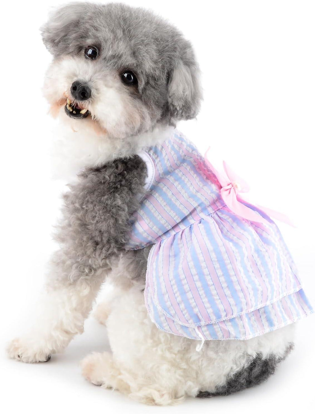 Bow Dress knot Decor Round Neck Summer Skirt / Frock for Pet Cat Dress - Pet Supermarket